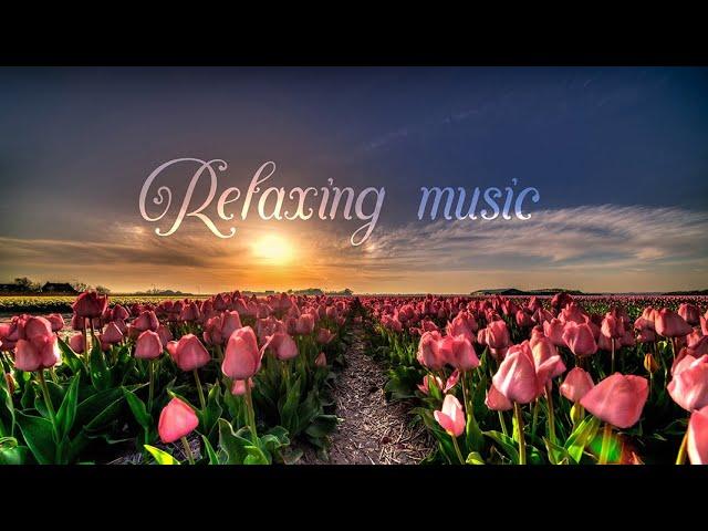 relaxing music Music  Use headphones   ft Kailash Kavhale