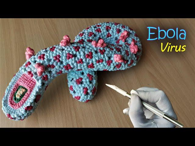 Making Ebola Virus 3D model | DIY Project