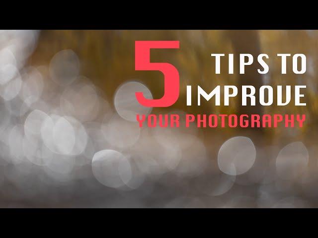 5 TIPS to instantly IMPROVE your photography