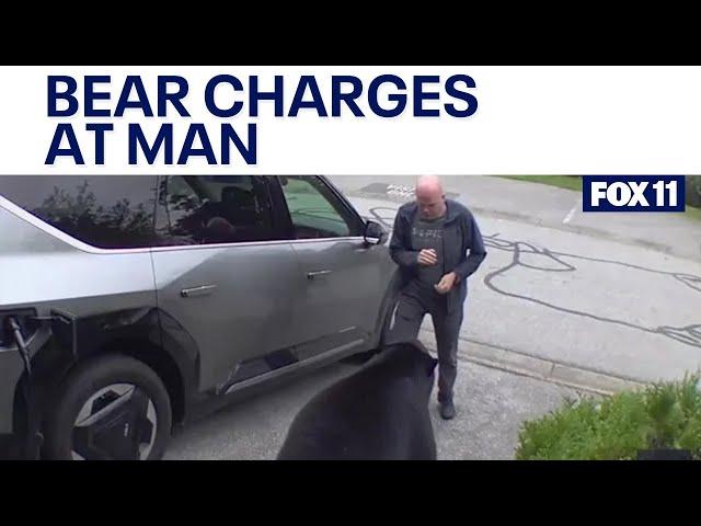 Bear charges at man in his garage