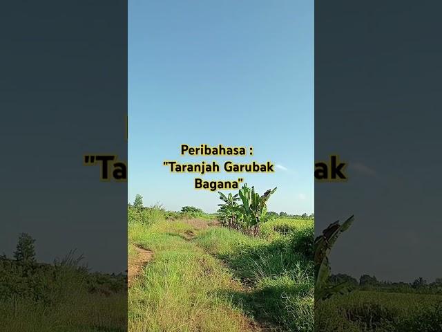 Taranjah Garubak Bagana