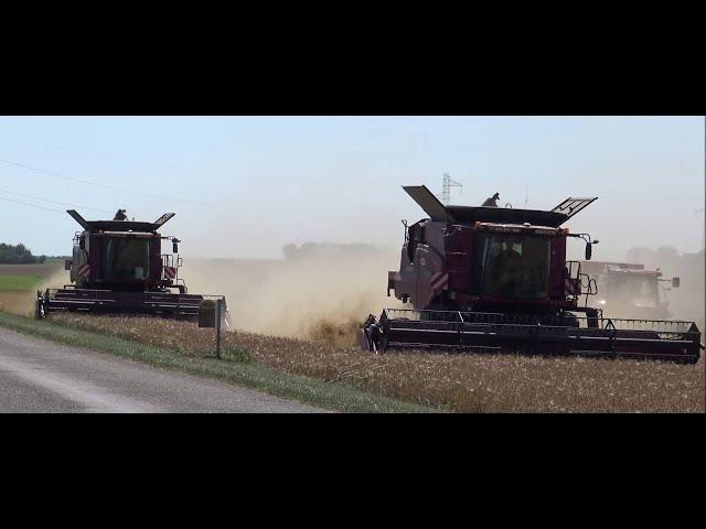 MOISSONS 2020/CASEIH7230/CASEIH5130/ORGE/OSSEY LES 3 MAISONS/AUBE/FRANCE