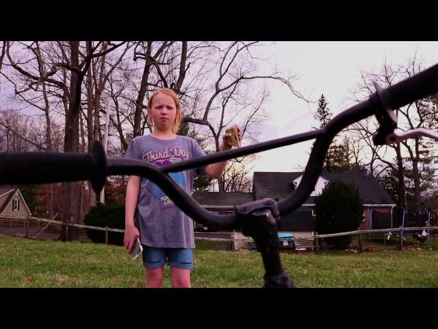 The Beckoning Bicycle - Blake Bauer