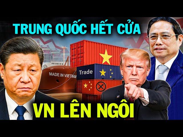Trung Quốc Lật Mặt Đâm Sau Lưng Mỹ - Việt Nam Đáp Trả Cực Kỳ Khôn Ngoan!