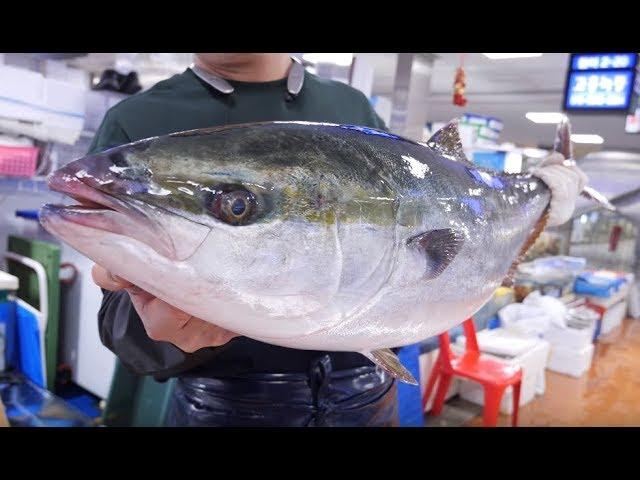 [4K ]Giant yellowtail amberjack filleting_how to fish cutting_Korean seafood