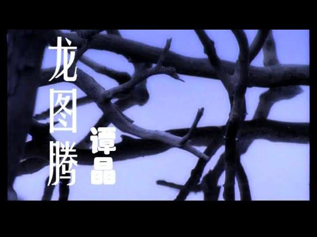 谭晶 - 龙图腾