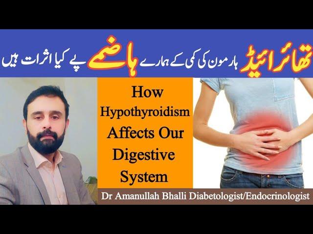 How Hypothyroidism Affects Our Digestive System || Thyroid Hormone Ki kami K Hazmay P Kia Asrat Han