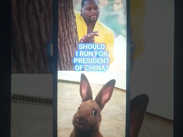 #china #news @CentralIntelligenceAgency