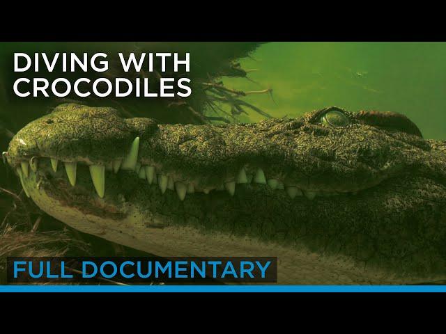 Diving with Crocodiles (full documentary) | Earth Touch TV