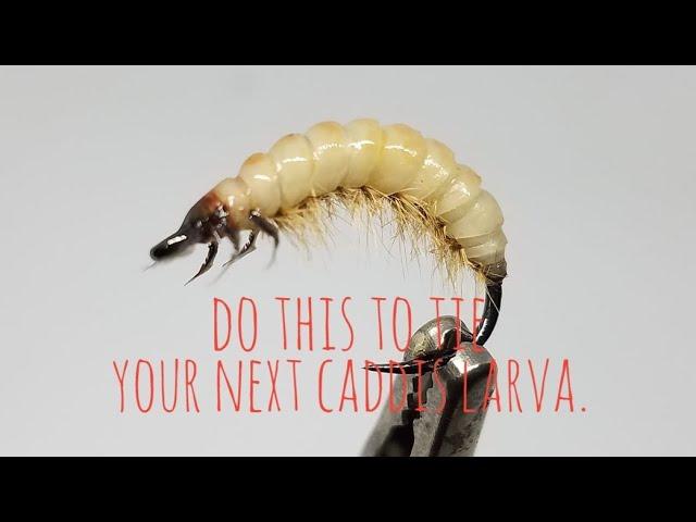 Caddis Larva: The Weirdest Tying Tips