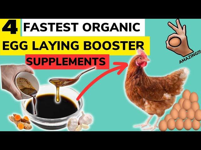 Here are THE BEST 4 ORGANIC SUPPLEMENTS TO LAYERS That Will Boost EGG PRODUCTION IN YOUR FARM.