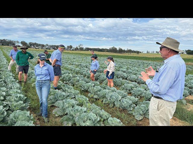 Recognising vegetable crop diseases - a guide for NSW vegetable agronomists