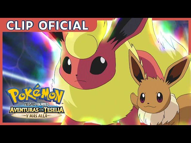 ¡Equipo Eevee! | Pokémon Negro y Blanco: Aventuras en Teselia y más allá | Clip oficial