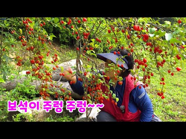 The reason why mountain villages are so nice! A daily life like a shiny gem