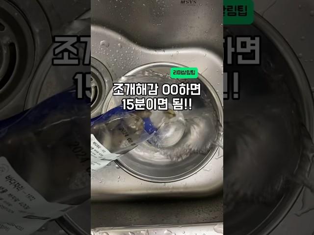 조개해감 15분만에 끝내는 법 #살림꿀팁 #생활꿀팁