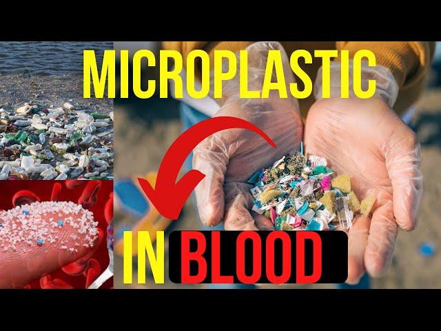Plastic Found in Human Blood | Bangla Video | Chalo Jana Jaak