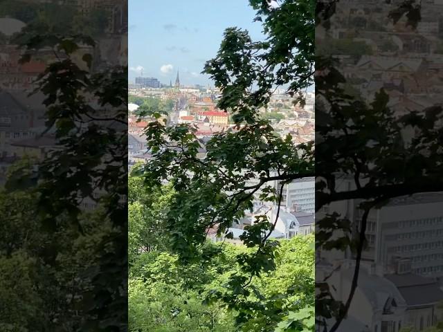 Lviv / Львів #lovelviv