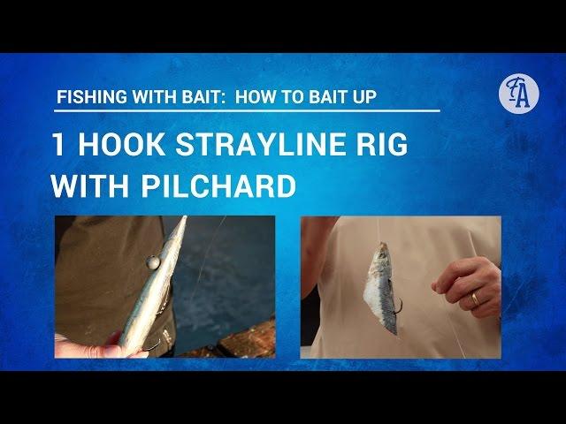 BAIT FISHING: How to put PILCHARD bait on one hook STRAYLINE rig (3 ways)