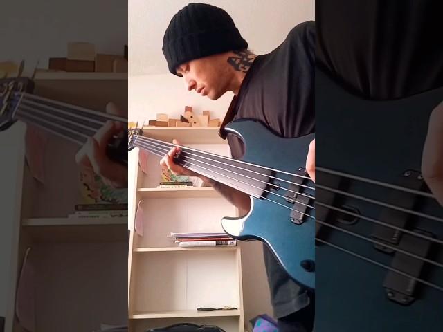 Portrait of Tracy #bassguitar #fretlessbass #bassplayer #jacopastorius #vintagebass