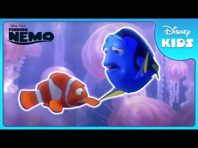 🪼 Dory & Marlin’s Jellyfish Race!  | Finding Nemo | Disney Kids