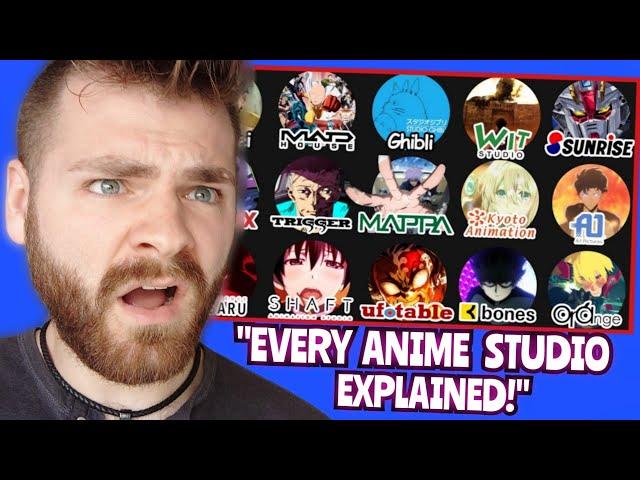 Every Anime Studio Explained in 17 Minutes | REACTION!