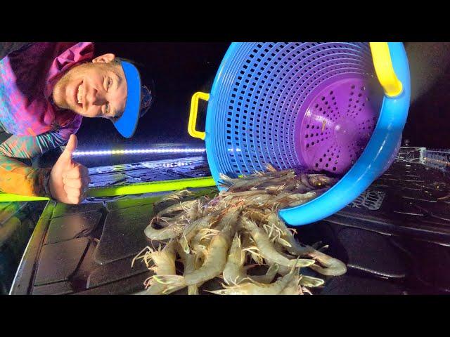 NIGHT Shrimping Fishing Camping on my Boat! [Catch n' Cook}