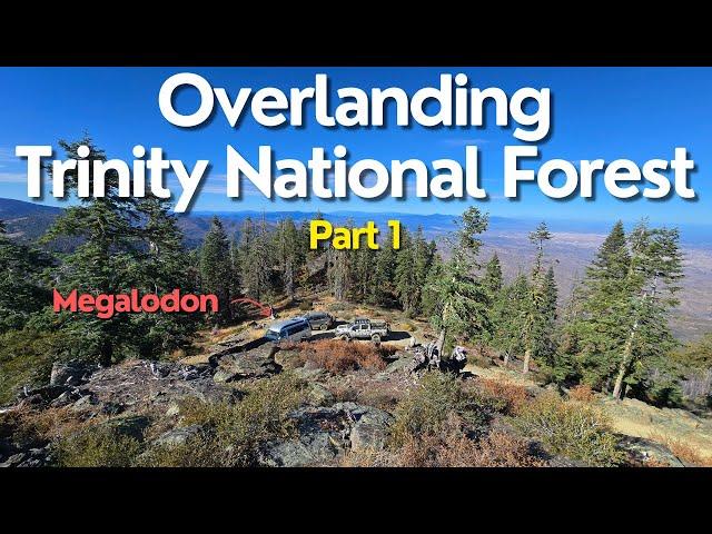 Exploring Trinity National Forest: Overlanding Adventure