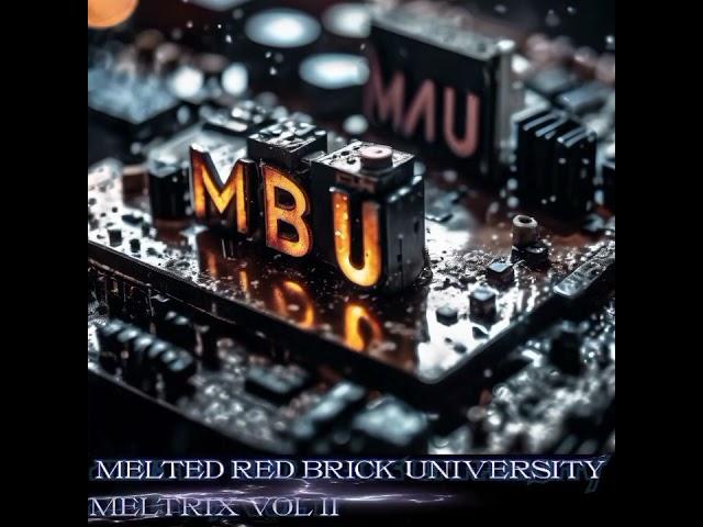 Melted Red Brick University (MELTRIX VOL II)