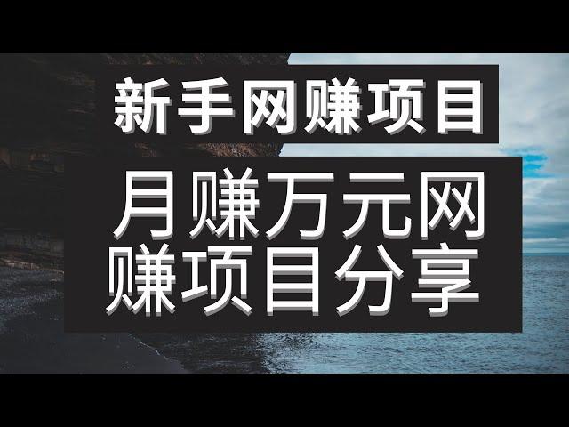 2021网赚，分享一个新手月赚万元网上赚钱项目，国外网赚LEAD赚钱方法，认识国外网赚联盟