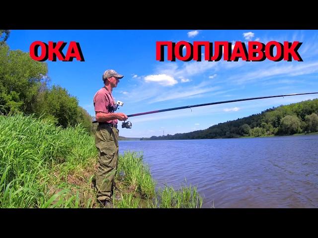 ПОПЛАВОК ЛУЧШЕ ДОНКИ. Рыбалка в проводку на Оке. Густера, плотва и другая рыба.