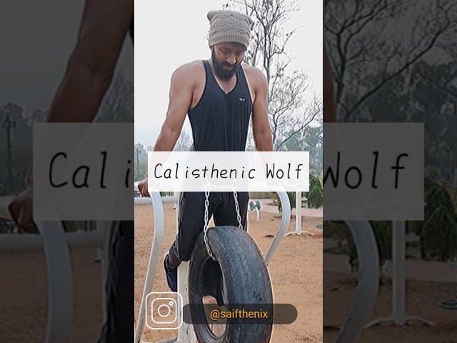 Push And Pull Workout | Calisthenic Wolf |  saifthenix | Weighted Dip bar 30kg | Wide Grip Pull Up