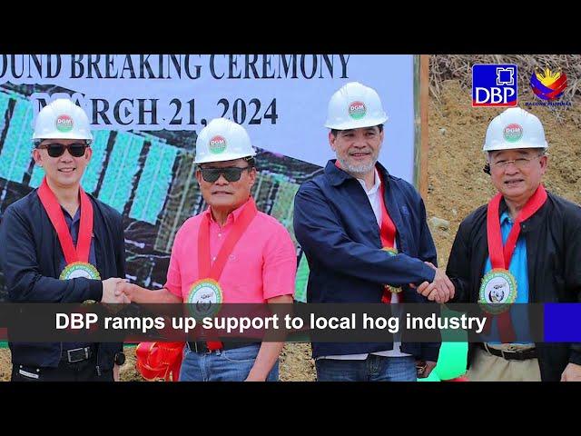 DBP ramps up support to local hog industry