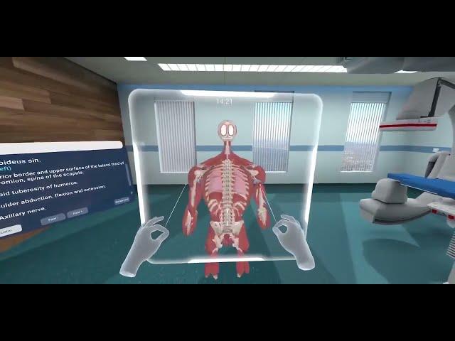 Virtual Reality Anatomy Training!