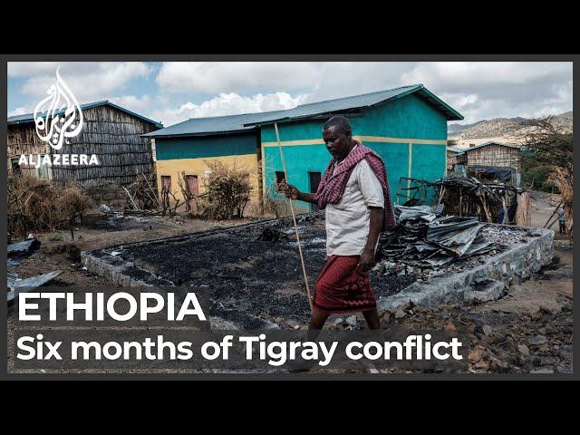 Six months of Ethiopia's Tigray conflict and no end in sight