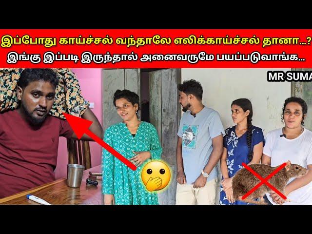 இங்கு இப்படி இருந்தால் அனைவருமே பயப்படுவாங்க…  | Jaffna Vlog | Vlog | MR SUMAN