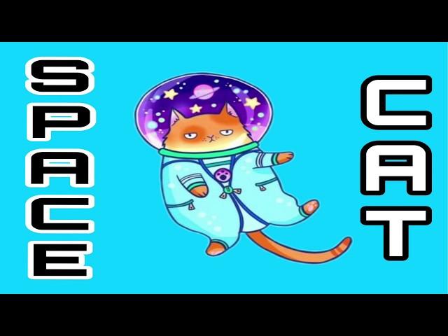 SPACE CAT | AP Lang Q2 Rhetorical Analysis | Coach Hall Writes