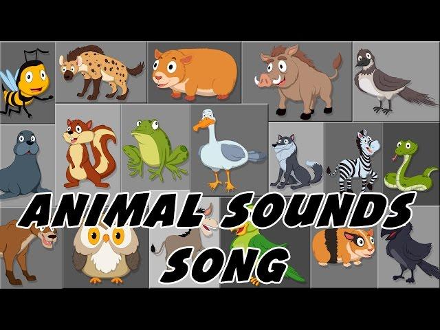 Animal Sound Song | These Are The Sounds That Animals Make |Rhymes By PlayTime