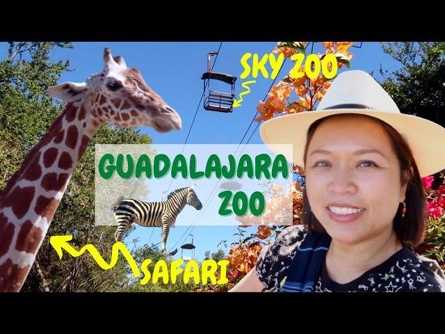 Guadalajara Zoo (Zoologico Guadalajara) | Amazing Sky Zoo & Safari | Ep. 123