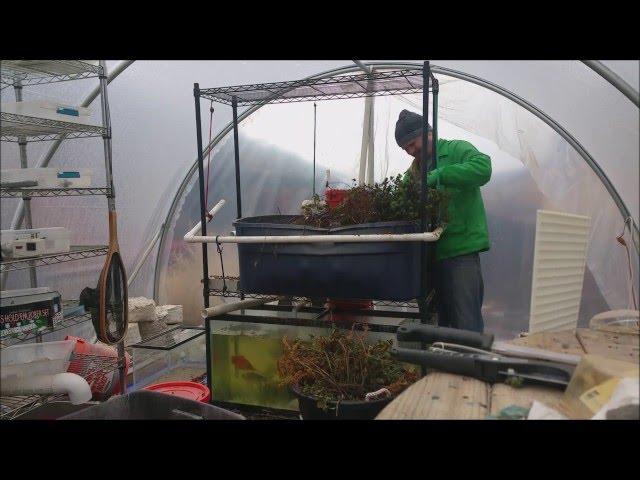 Cleaning my Aquaponics for the Spring Season