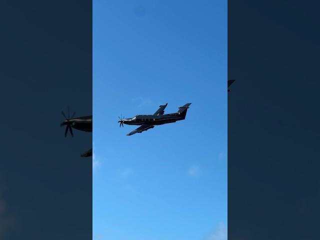 Black Pearl #pc12