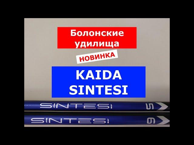 НОВИНКА 2025. KAIDA SINTESI - ОБЗОР БОЛОНСКИХ УДИЛИЩ. УДИЛИЩЕ С КОЛЬЦАМИ МОДЕЛЬ КАЙДА СИНТЕСИ