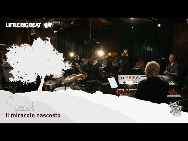 Mario Borrelli & Saki Hatzigeorgiou - Il miracolo nascosto