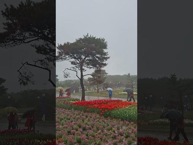 김용빈,#기쁨두배로