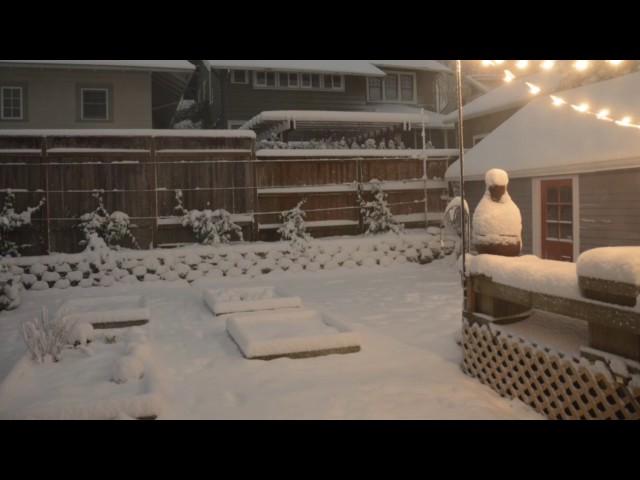 Time-lapse of record snowfall in Northeast Portland backyard