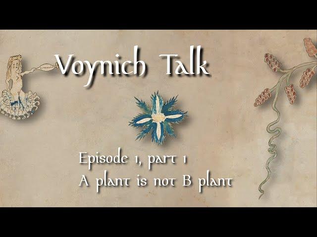 Voynich Talk E1 (1/3)