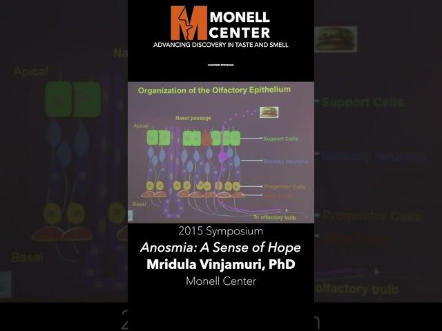 Anosmia: A Sense of Hope #fromthevault #education #anosmia #smell