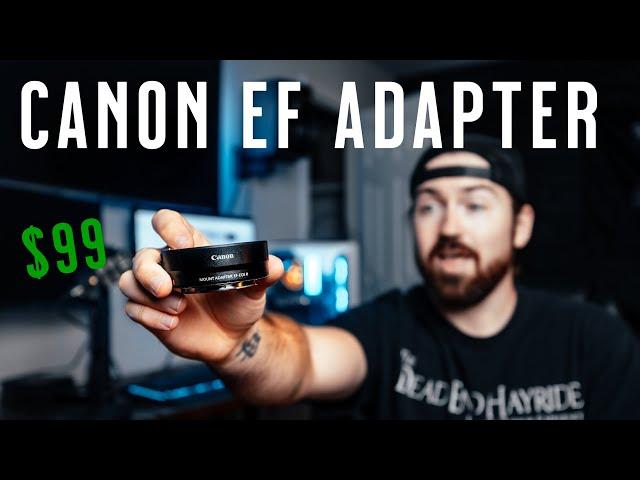 Canon EF/RF Adapter: All Your Questions Answered!