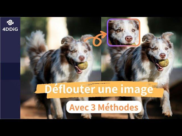 Comment déflouter une image ? Rendez vos images plus nettes avec 3 méthodes