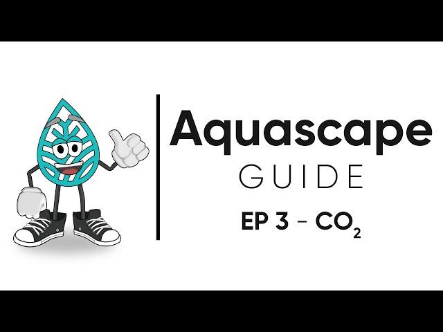 Aquascape Guide - How to Set Up a CO2 System For A Planted Aquarium / EP 3 - CO2