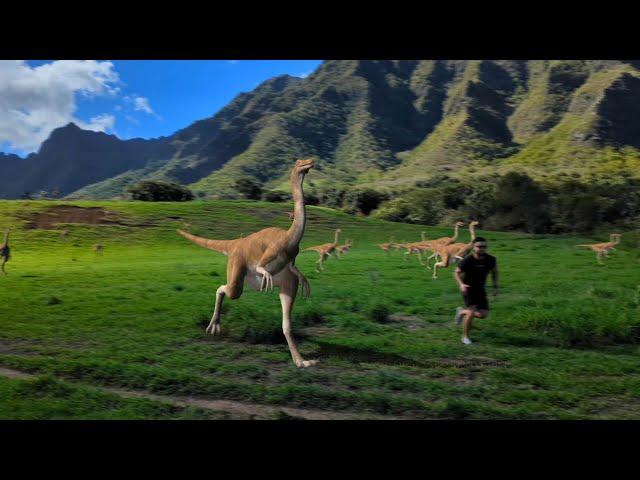 Jurassic Valley, Hawaii stampede